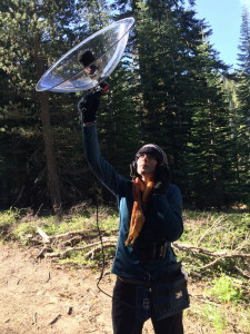 Quick! Look like you're working... Field Recording in Sierra Nevadas 2016