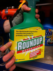 Roundup Weedkiller relabeled by activists to advise on the dangers of glyphosate Global Justice Now Roundup relabeling