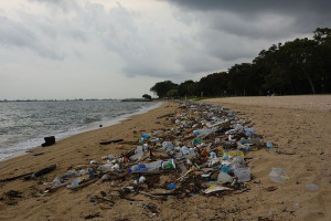 Plastic litter on Singapore coast Plastic litter on Singapore coast