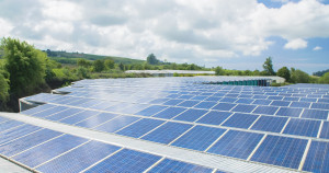 solar panels