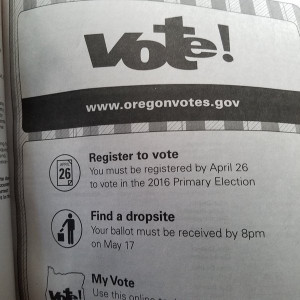 Voter guide