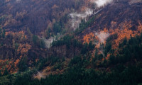 Fires Still Smoldering in Eagle Creek Fire