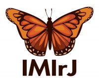IMIrJ Synbol IMIrJ