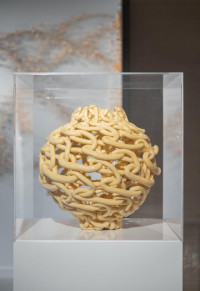 lobby_gallery_sima_familant_breathing_room_moon_bowl.jpg lobby_gallery_sima_familant_breathing_room_moon_bowl.jpg