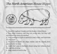 House Hippo Facts House Hippo Facts
